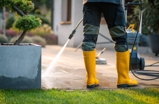 Best Affordable Pressure Washing  in Taylor, PA